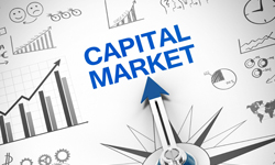 Capital-Market